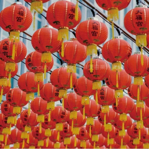 鼠年運程大拆解（上） 