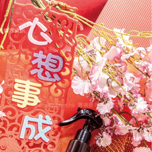 DIY課室 (135) 大掃除香薰清潔液