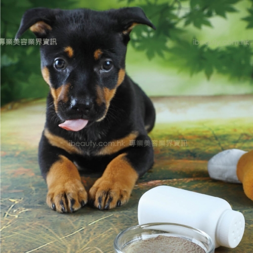 DIY課室（九十三） 寵物乾洗粉